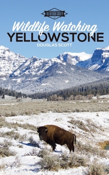 Paperback Wildlife Watching: Yellowstone Book