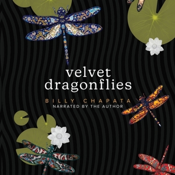 MP3 CD Velvet Dragonflies Book