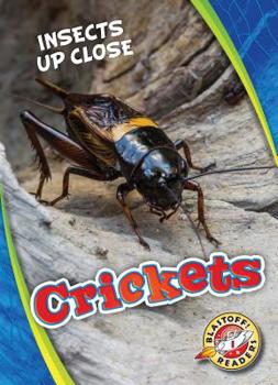 Library Binding Crickets Book