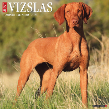 Calendar Just Vizslas 2022 Wall Calendar (Dog Breed) Book