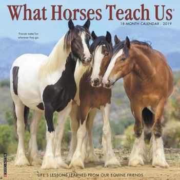 Calendar What Horses Teach Us 2019 Wall Calendar Book