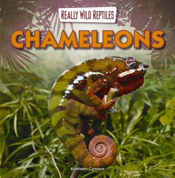 Chameleons - Book  of the Really Wild Reptiles