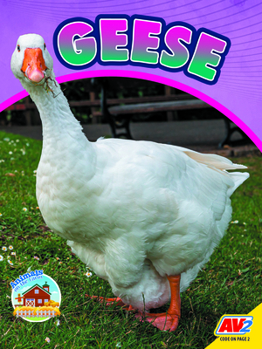 Paperback Geese Book