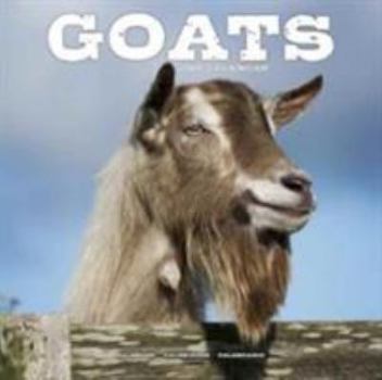 Goat Calendar - Cute Animal Calendar - Calendars 2017 - 2018 Wall Calendars - Animal Calendar - Goats 16 Month Wall Calendar by Avonside