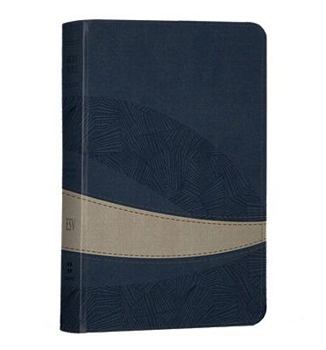 Imitation Leather Large Print Compact Bible-ESV-Curve Design [Large Print] Book