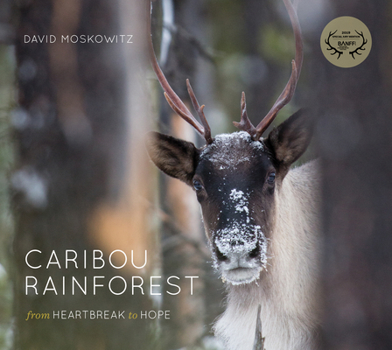 Hardcover Caribou Rainforest: From Heartbreak to Hope Book