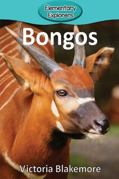Bongos (Elementary Explorers)