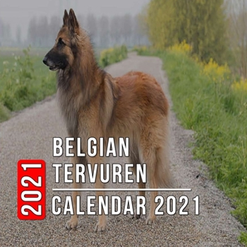 Paperback Belgian Tervuren Calendar 2021: 12-month mini Calendar from Jan 2021 to Dec 2021, Cute Gift Idea For Belgian Tervuren Lovers Or Owners Men And Women - Book