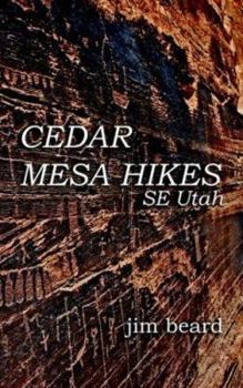 Paperback Cedar Mesa Hikes: Se Utah Book