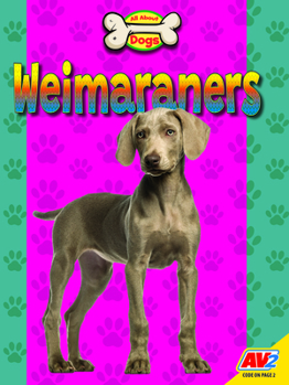 Library Binding Weimaraners Book