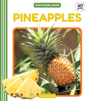 Library Binding Pineapples Book