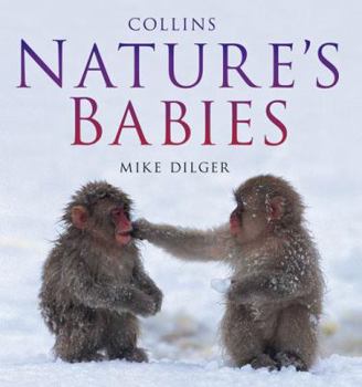 Hardcover Nature's Babies. Mike Dilger Book