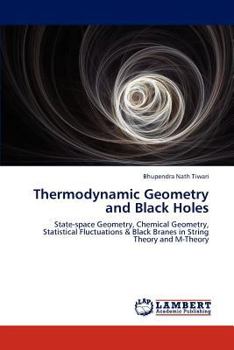 Paperback Thermodynamic Geometry and Black Holes Book