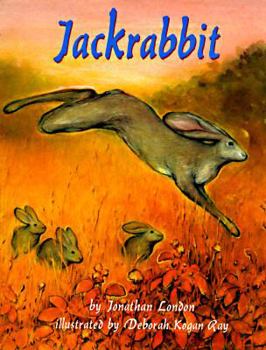 Paperback Jackrabbit Book