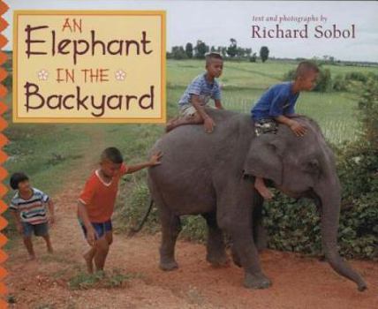 Hardcover An Elephant in the Backyard Book