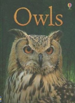 Owls - Book  of the Usborne Beginners