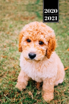 Poodle Dog Calendar Week Planner 2020 / 2021 - Lovely Baby: Pup Puppy Doggie Pet Owner Weekly Bullet Journal Notebook Diary in 6” x 9” Inch Pocket Size