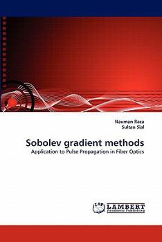 Paperback Sobolev Gradient Methods Book