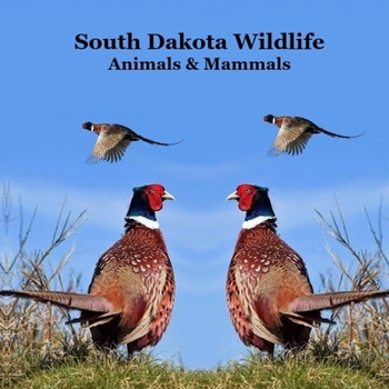 South Dakota Animals and Mammals Wildlife Book : Great South Dakota Animals Book for Children of All Ages