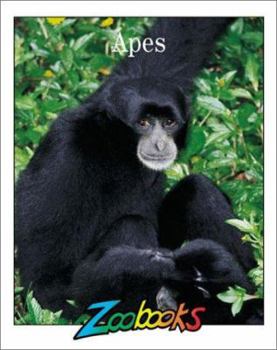 Apes (Zoobooks Series) - Book  of the Zoobooks Series