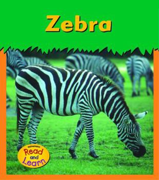 Paperback Zebra Book