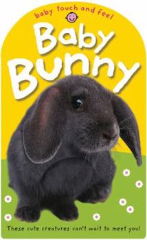 Board book Baby Bunny Book