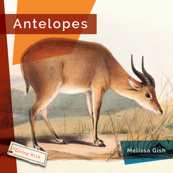 Antelopes - Book  of the Living Wild