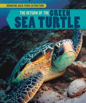 Library Binding The Return of the Green Sea Turtle Book