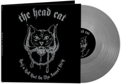 Vinyl Rock N' Roll Riot On The Sunset Strip   Book