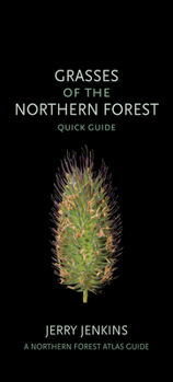 Misc. Grasses of the Northern Forest: Quick Guide Book