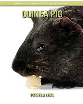 Paperback Guinea Pig: Amazing Pictures and Facts about Guinea Pig Book
