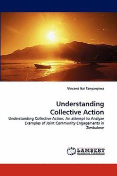 Paperback Understanding Collective Action Book