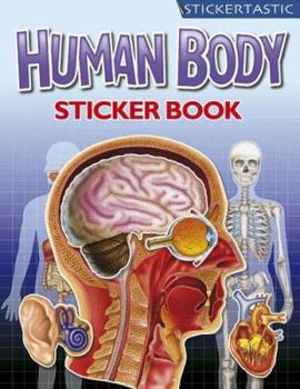 Paperback Human Body (Stickertastics) Book