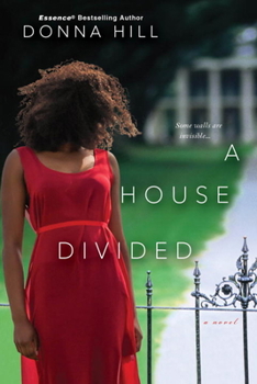 A House Divided - Book #1 of the Family Secret