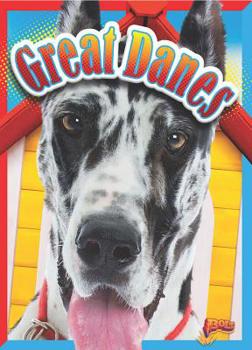 Paperback Great Danes Book