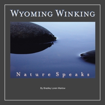 Wyoming Winking