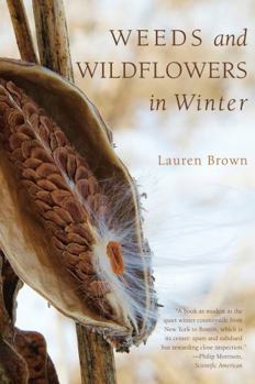 Paperback Weeds and Wildflowers in Winter Book