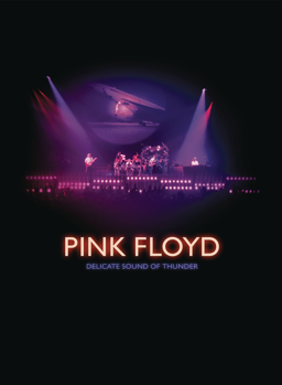 DVD Pink Floyd: Delicate Sound of Thunder Book