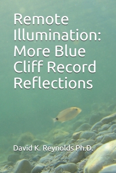 Paperback Remote Illumination: More Blue Cliff Record Reflections Book