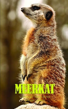 Meerkat 5 x 8 Weekly 2020 Planner: One Year Calendar