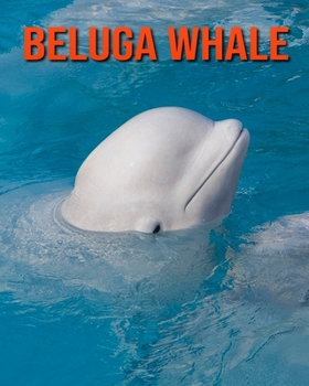 Paperback Beluga Whale: Super Fun Facts And Amazing Pictures Book