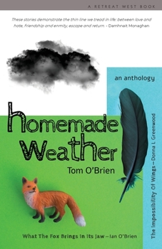 Paperback Homemade Weather Book
