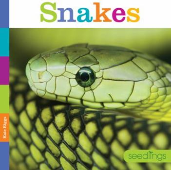 Snakes - Book  of the Seedlings