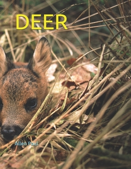 Paperback Deer Book