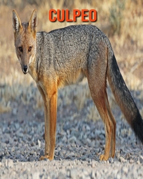 Culpeo: Beautiful Pictures & Interesting Facts Children Book About Culpeo