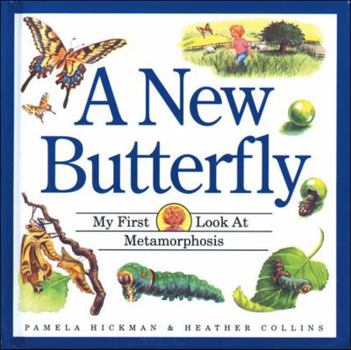 Hardcover A New Butterfly Book