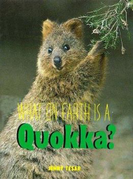 Hardcover Quokka Book