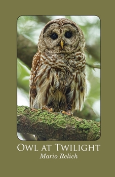 Paperback Owl at Twilight Book