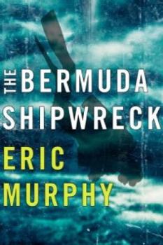 Paperback The Bermuda Shipwreck Book