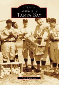 Paperback Baseball in Tampa Bay Book
